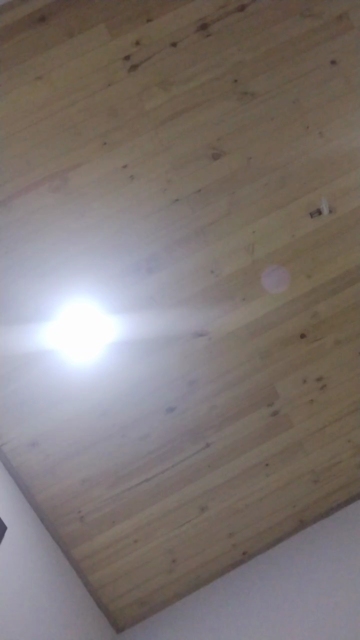 fflorecita  07-05-2021